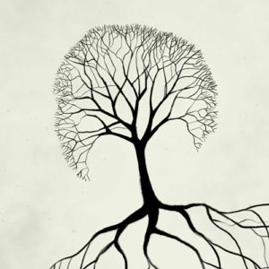 De quoi se nourrissent les racines de l’arbre de vie ?